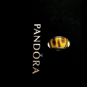 Discontinued Pandora Murano Glass tiger charm
